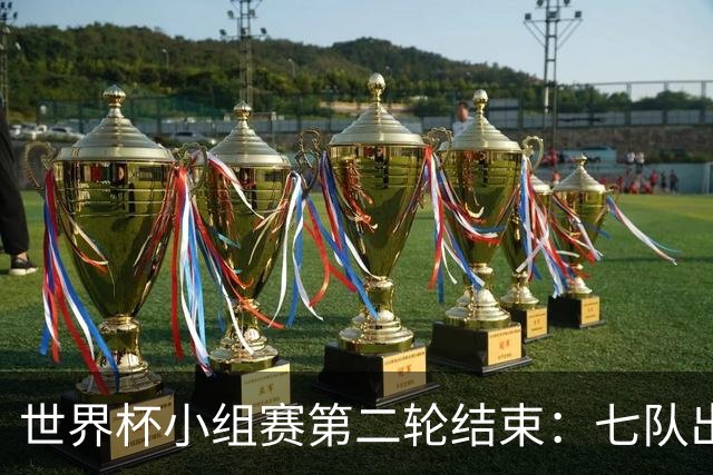 世界杯小组赛第二轮结束：七队出线，五队出局