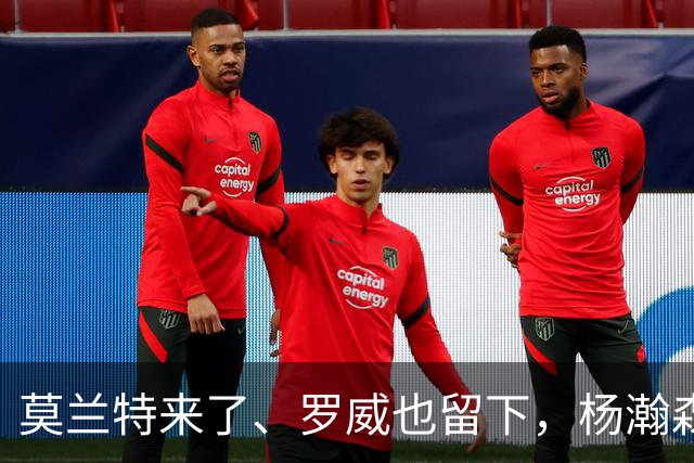 莫兰特来了、罗威也留下，杨瀚森第二季真正考题，是能否挤进开拓者的轮换阵容